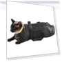 Pet Bath Kit — Bath Accessories
