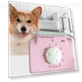 Ultrasonic Cleaning Machine for Pet Dogs — Ultrasonic Cleaners