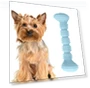 Teething Toys Chewing Gnawing Dog Toothbrush — Chew Toys