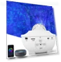 Wifi Projector Light Starry Auto Lighting System — Outdoor Light Projectors