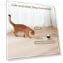 Indoor Security Camera Robot — Cameras & Monitors, Enabot