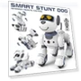 Interactive Robotic Dog — Interactive Animal Companions, Reggo