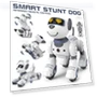 Programmable Smart Interactive Trick Robot Dog — Interactive Figures & Robots, maoxiaowei