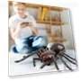 Remote Control Spider Toy — Interactive Figures & Robots, Talos Party Carnival