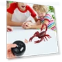 Remote Control Spider Toy — Remote Control Aircraft, Yixhan