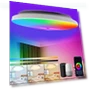 Smart LED Ceiling Light — Overhead Lighting, Actually lighting
