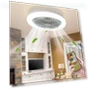 Ceiling Fan with Remote Control and LED Light — Ceiling Fan Lighting Solutions, Andy Reading