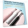 Electric Toothbrush with 4 Brush Heads — Electric Toothbrush Heads, PekPit