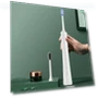 Electric Toothbrush with 5 Brush Heads — Electric Toothbrush Heads, TOP MALL-005
