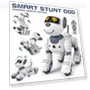 Interactive RC Robot Puppy — Interactive Animal Companions, JJRC