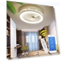 Modern Smart LED Ceiling Fan with Light — Ceiling Fans, The Romantics