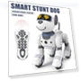 Radio-controlled robot dog — Interactive Animal Companions, Bai Fen Bai Toys