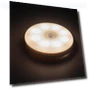 Rechargeable Two-Tone Night Light with Smart Motion Sensor — Night Lights, Dongfang HOME A