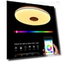 RGB Ceiling Light with Adjustable Brightness — Overhead Lighting, Crown Global
