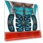 Smart Abdominal Fitness Tool — Core & Ab Trainers, YSZQ