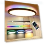 Smart LED Ceiling Light — Overhead Lighting, Actually lighting