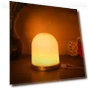 Smart RGB LED Night Light with Adjustable Brightness — Night Lights, Refreshing Home
