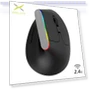 Wireless Silent Ergonomic Vertical Gaming Mouse — Mouse Pads, Delux