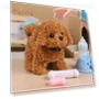 Interactive Puppy Toy — Interactive Animal Companions, Vogue Wardrobe