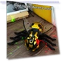Interactive Remote Control Animal Toy — Interactive Animal Companions, Forseed