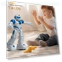 Programmable Dancing Robot with LED Eyes — Interactive Figures & Robots, Vogue Wardrobe