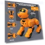 Remote Control Robot Dog Toy — Interactive Figures & Robots, Hello Garden