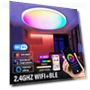 Smart LED Ceiling Light — Overhead Lighting, Build My Home