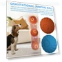 Smart Pet Toy Ball — Interactive Animal Companions, 888 Auto Parts Town