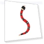Smart Touch Sensor Snake Toy — Interactive Learning Devices, Automobile and motorcycle supplies