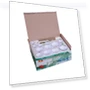 Vacuum Foam Canister Device — , Golden Fern