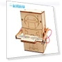 DIY Coin-Swallowing Robot — Educational, HobbyWorld