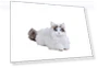 Рэгдолл-питомец-робот-кот — Interactive Animal Companions, SEGA