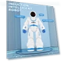 Space Robot with Remote Control — Interactive Figures & Robots, iPlay