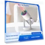 Air Humidifier with Projector for Aromatherapy — Air Moisturizers, StrideBox