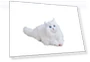 Ragdoll Robotic Pet Cat — Interactive Animal Companions, SEGA