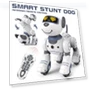 Smart Educational Robot Dog Toy — Interactive Learning Devices, StrideBox