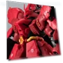 Spirits Sazabi Double Funnel with Horn — Airplane & Jet, PITAKITE