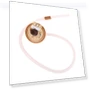Water Level Sensor Pressure Switch — Washing Machines, Fleur Florence