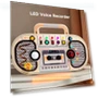 Wooden Sensory Toy with Voice Recorder, Music, and LED Lights — Infant & Early Childhood Playthings, Perseverance
