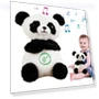 Breathing Calming Panda — Plushies, LYB Rainbow