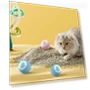Interactive Cat Balls Set — Balls, YSXX