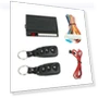 Keyless Access Controller — Accessories, Baby cheetah