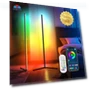 Colorful LED Ambient Floor Lamp — Standing Lights, Smarter than future