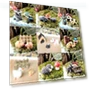 DIY Miniature Dollhouse Craft Set — Doll Crafting, Ara