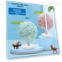 Smart AR Globe — , VantaGoods