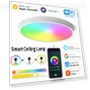 Smart Ceiling Lamp — Overhead Lighting, Super Dream Home