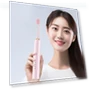 Electric Toothbrush with 8 Brush Heads — Brushes, Yousheng Electronic Products