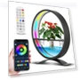 Indoor Water Element with Light Controller — Lanterns, Tooarts