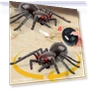 Remote Control Spider Toy — Interactive Figures & Robots, All for Kids