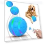 Automatic Rolling Ball Toy for Dogs — Automatic Launchers, yuezong